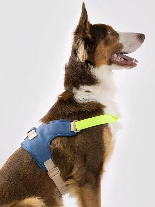 Hug Harness